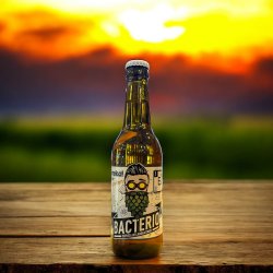 BACTERIO EUREKA LAGER SIN GLUTEN BOTELLA 330 ML. - Hidden Beers