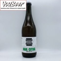 Godog Hail Citra