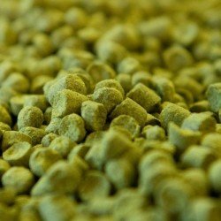 Elixir BIO Pellet T90 - Hop France