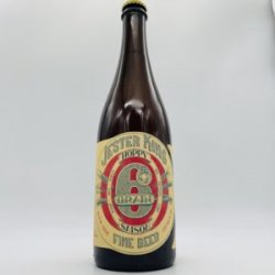 Jester King Hoppy 6 Grain Saison 750ml - Bottleworks