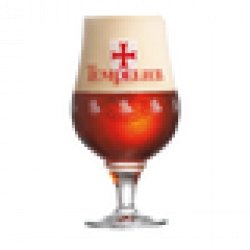 Tempelier Beer 330ml Glass - Beer Cartel