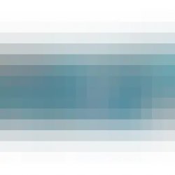 Other Half Brewing Co. Hop Pirates