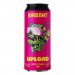 Birbant Upload West Coast IPA 6,5% 500 ml 