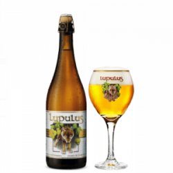 Lupulus Blond - Belgian Craft Beers