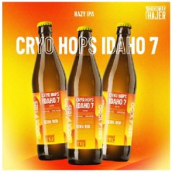 HAJER Cryo Hops Idaho 7 Hazy IPA seria 1000 6% 0.5L - Sklep Impuls