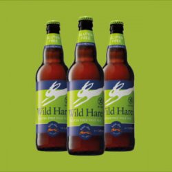 St Austell Brewery Wild Hare Gluten Free Pale Ale (8 x 500ml bottles) - St Austell Brewery