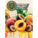Piwne Podziemie Tutti Frutti Apricot, Mango, Passionfruit 500ml Piwne Podziemie Tutti Frutti Apricot, Mango, Passionfruit 500ml