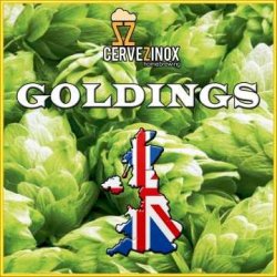 Goldings (flor) - Cervezinox