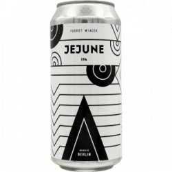 FUERST WIACEK – Jejune (2024) - Rebel Beer Cans