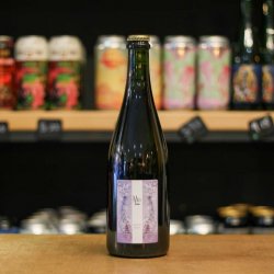 Mills Brewing Saison Spelt Mills Brewing Saison Spelt