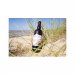Craft Blonde Beer DUNE 75... 