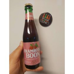 Boon Framboise Boon 14°4,1% 0,25l - Pivní lednice