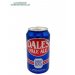 Oskar Blues - Dales Pale Ale - 35.5cl - Can 