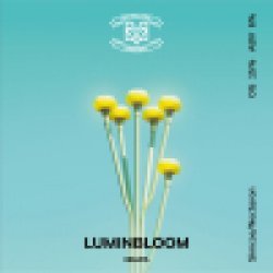 Big Village Brewery LUMINBLOOM