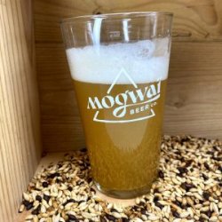 Verre Pinte Mogwai - BAF - Bière Artisanale Française