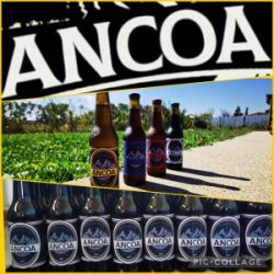 ANCOA PACK DE 4 - Ancoa