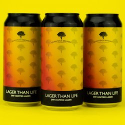 Quantock Brewery Lager Than Life