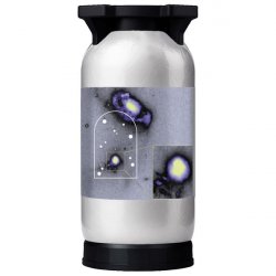 Elmeleven The Paradox (PULP)