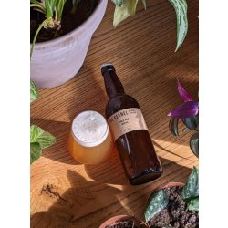 The Kernel Brewery Pale Ale Mosaic