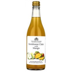 Watergull Orchards Farmhouse Cider with Mango - Beers of Europe