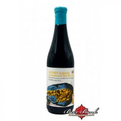 Santa Sabina Chunky Banana Business And the Blue Case Santa Sabina Chunky Banana Business And the Blue Case