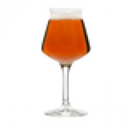 Rastal Teku Beer Glass - Beer Cartel