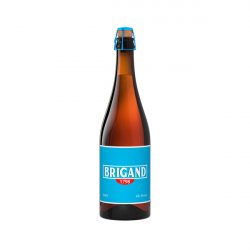 Kasteel Brouwerij Vanhonsebrouck Brigand - Elings