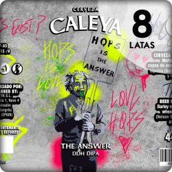 Caleya The Answer - Cerveza Caleya