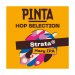 Hop Selection: Strata Pinta Hop Selection: Strata Pinta