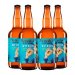 Pack 4 s Elementum Witbier 500ml 