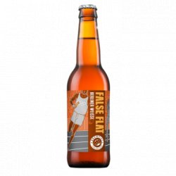 False Flat Berliner Weisse 4,0% Vol 33 Cl - Beer Solution