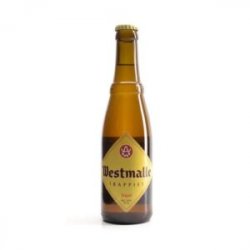 Westmalle Trappist Tripel 33cl - The Import Beer