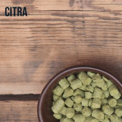 Citra 50grs  Centro Cervecero - Centro Cervecero