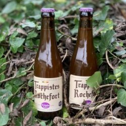 Otters Tears Triple Extra  Rochefort Trappist - Otters Tears