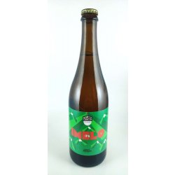 Pioneer Imel´o West Coast IPA 16° - Pivní ochutnávka