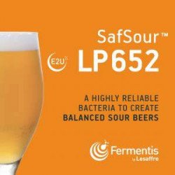 CURSO GRATIS FERMENTIS SOUR BEER - Minicervecería