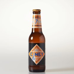 Ciney  Blonde 25cl - Melgers