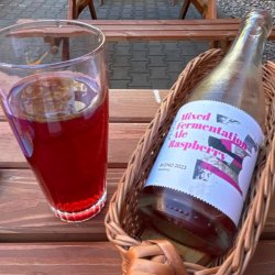 Browar Stu Mostów WILD#23 Raspberry Mixed Fermentation Ale