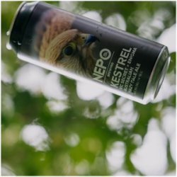 Browar Nepomucen Kestrel