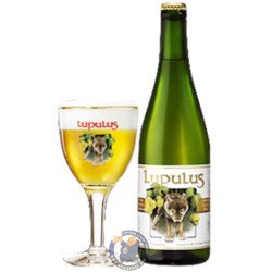 Les 3 Fourquets Lupulus 8.5° - 34L - BelgianShop