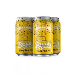 Behemoth Brain Smiles Hazy Pale Ale 4 Pack - Temple Cellars