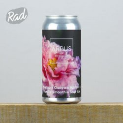 Arpus Mango x Guava x Apricot x Vanilla Smoothie Sour Ale - Radbeer