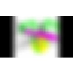 WHC LAX YEAST (US-05 EQUIVALENT) 12g  Worcester Hop Shop - Worcester Hop Shop