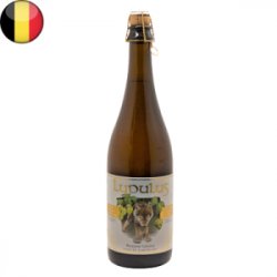 Lupulus Blonde 75cl - Beer Vikings