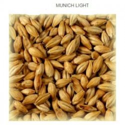 Munich malt type 1... - Cervesera Artesenca