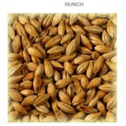 Munich malt type 2... - Cervesera Artesenca