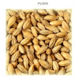 Pilsen Malt EBC 3-5 WEYERMANN - Cervesera Artesenca