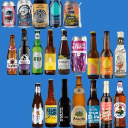 Spoonful of Sugar' Low Sugar Beers Wise Pack - Wise Bartender