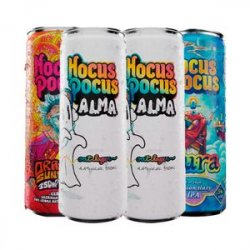 Kit Degustação 4 s Hocus Pocus 350ml - CervejaBox