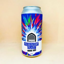 Vault City Brewing. Blueberry Blast [Slushy Sour] - Alpha Bottle Shop & Tap